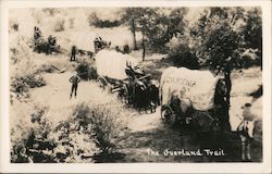 The Overland Trail "California or Bust" Covered Wagons Postcard