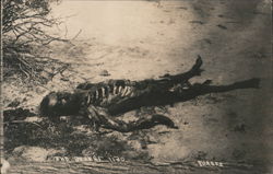 Body Decaying in the Desert Death Forbes Postcard Postcard Postcard