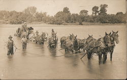 Men Helping Several Horses Cross a River Occupational Postcard Postcard Postcard