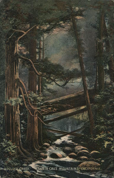 Boulder Creek, Redwoods - Santa Cruz Mountains California Postcard