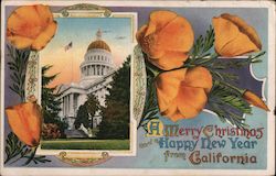 A Merry Christmas and a Happy New Year From California Postcard