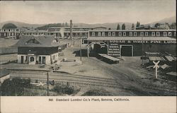 Standard Lumber Co.'s Plant Postcard