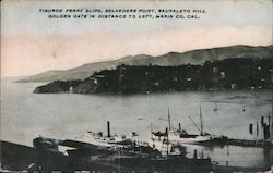 Tiburon Ferry Slips, Belvedere Point Sausalito, CA Postcard Postcard Postcard