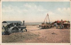 Threshing Beans Postcard