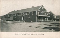 Winters Dried Fruit Co. Postcard