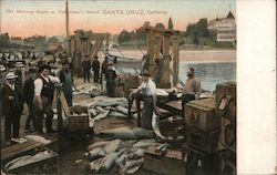 Morning Scene on Fisherman's Wharf Postcard