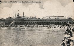 Casino and Natatorium Postcard