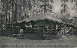 Big Tree Club House Postcard