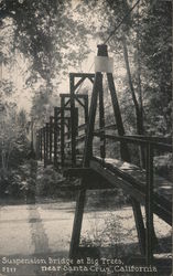 Suspension Bridge at Big Trees Postcard