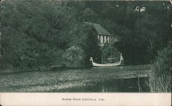 Scene Near Capitola California Postcard Postcard Postcard