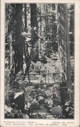 Behind the Scenes at Bohemian Club Grove - Stage Mechanism Monte Rio, CA Postcard Postcard Postcard