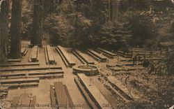 Bohemian Grove Dining Room Monte Rio, CA Postcard Postcard Postcard