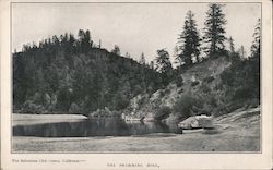 The Bohemian Club Grove - The Swimming Hole Postcard