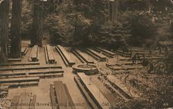 Bohemian Grove Dining Room Postcard