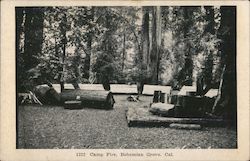 Camp fire, Bohemian Grove Postcard