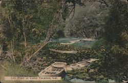 Lily Pond at Camp Vacation California Postcard Postcard Postcard