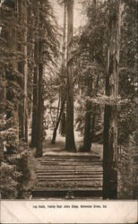 Log Seeds, Facing High Jinks Stage, Bohemian Grove Postcard