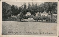 Strehl's Riverview Hotel Postcard