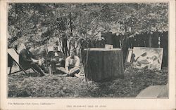 The Pleasant Isle of Aves. - Bohemian Club Grove Monte Rio, CA Postcard Postcard Postcard