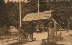 Ludwigs Grove Postcard