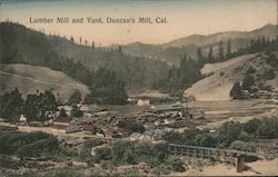 Lumber Mill and Yard Postcard