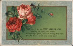 Camp Meeker Postcard