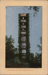 Living Tower, Russian River Camp Meeker, CA Postcard Postcard Postcard