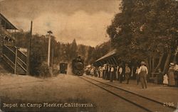 Train Pulling into the Depot Camp Meeker, CA Postcard Postcard Postcard