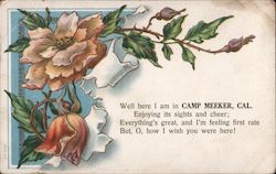 Well Here I am in Camp Meeker, Cal. Enjoying its Sights and Cheer; Everything's Great, and I'm Feeling First Rate, But, O, How I Postcard