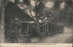 Pitch Mountain Tavern Healdsburg, CA Postcard Postcard Postcard