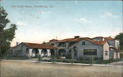 The Hotel Palms Postcard