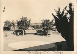 San Jose City College California Original Photograph Original Photograph Original Photograph