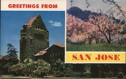 Greetings from San Jose California Postcard Postcard Postcard