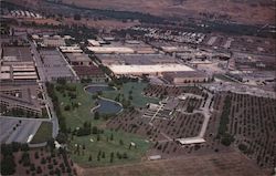 IBM Homestead San Jose, CA Postcard Postcard Postcard