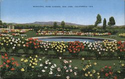 Municipal Rose Garden San Jose, CA Postcard Postcard Postcard