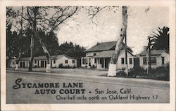 Sycamore Lane Auto Court San Jose, CA Postcard Postcard Postcard