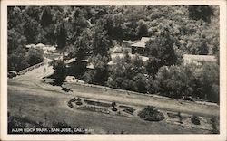 Alum Rock Park San Jose, CA Postcard Postcard Postcard