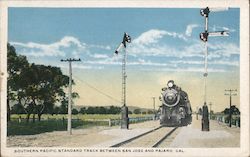 Southern Pacific Standard Track between San Jose and Pajaro, Cal. California Postcard Postcard Postcard