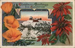 Christmas Greetings from Lick Observatory Postcard