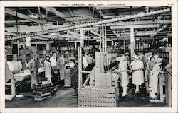 Fruit canning, San Jose, California Postcard