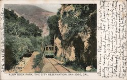 Alum Rock Park, The City Reservation, San Jose, Cal. California Postcard Postcard Postcard