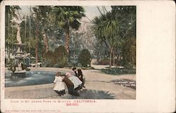 View in St. James Park in winter San Jose, CA Postcard Postcard Postcard