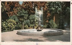 St. James Park Postcard