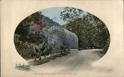 The Alvary-Alum Rock Park Postcard