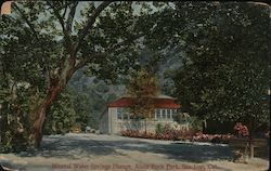 Mineral Water Springs Plunge, Alum Rock Park San Jose, CA Postcard Postcard Postcard