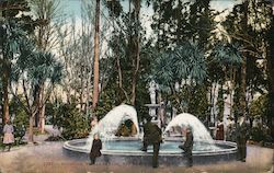 Fountain, St. James Park San Jose, CA Postcard Postcard Postcard