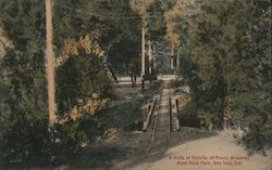 A vista in Vicinity of Picnic Grounds, Alum Rock Par, San Jose, Cal. Postcard