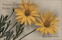 Santa Clara County Rose Carnival San Jose, California May 11 to 14 1910 Postcard