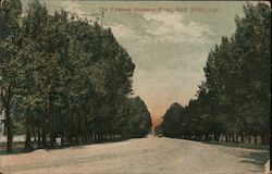 The famous Alameda Blvd., San Jose, Cal. Postcard