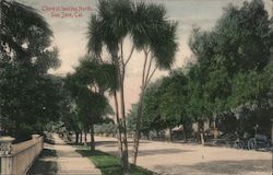 Third St. looking North, San Jose, Cal. Postcard